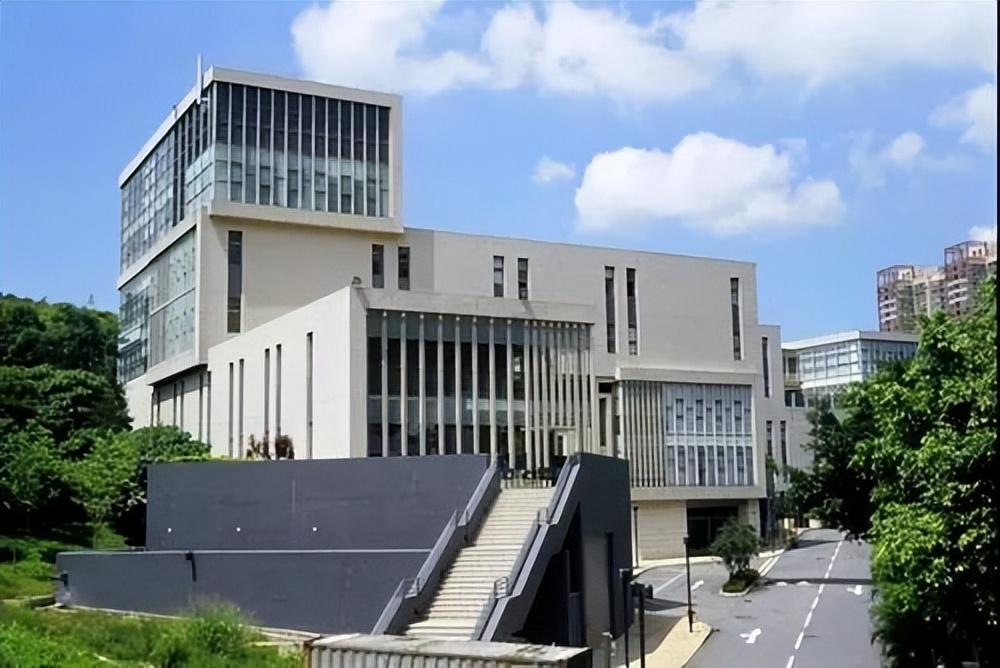 香港免费公开资料大全，精选解析、解释与落实